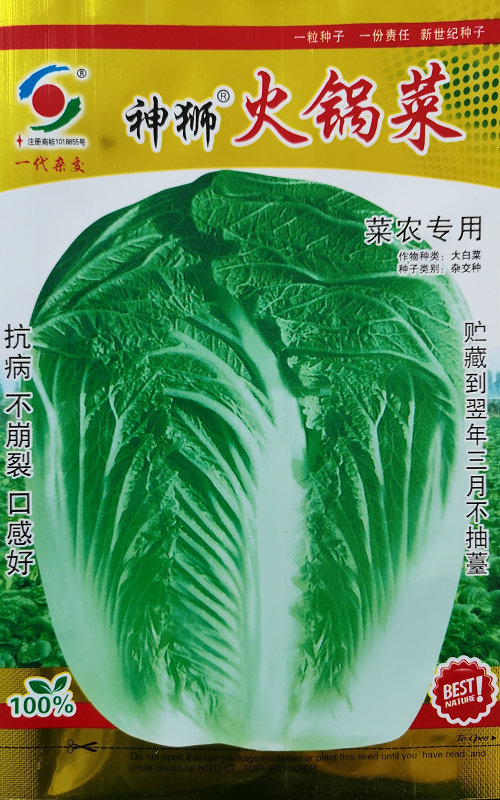 火锅菜——白菜 火锅菜——白菜